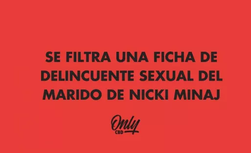 SE FILTRA UNA FICHA DE DELINCUENTE SEXUAL DEL MARIDO DE NICKI MINAJ