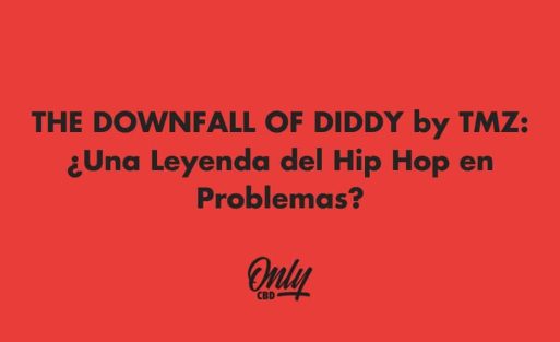 The downfall of diddy by tmz