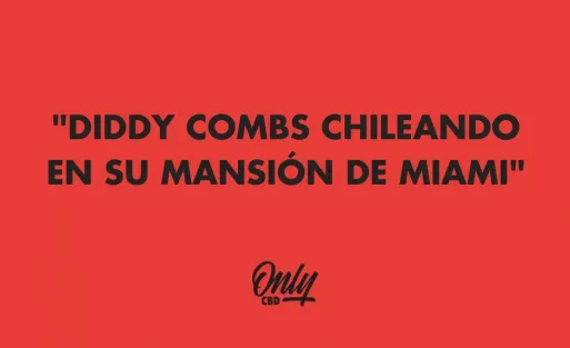 "DIDDY COMBS CHILEANDO EN SU MANSIÓN DE MIAMI"