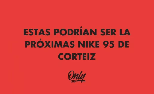 ESTAS PODRÍAN SER LA PRÓXIMAS NIKE 95 DE CORTEIZ
