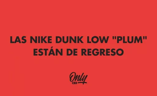 LAS NIKE DUNK LOW "PLUM" ESTÁN DE REGRESO