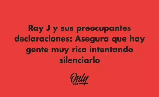 Ray J y sus preocupantes declaraciones