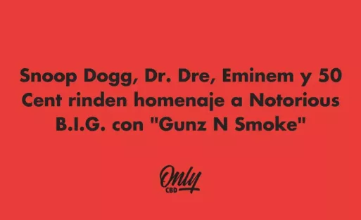 Snoop Dogg, Dr. Dree, Eminem y 50 Cent rinden homenaje a Notorious