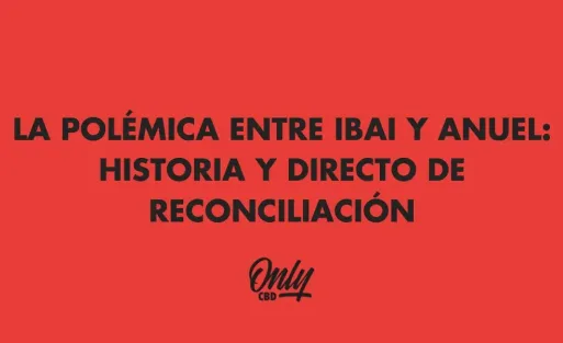 LA POLÉMICA ENTRE IBAI Y ANUEL