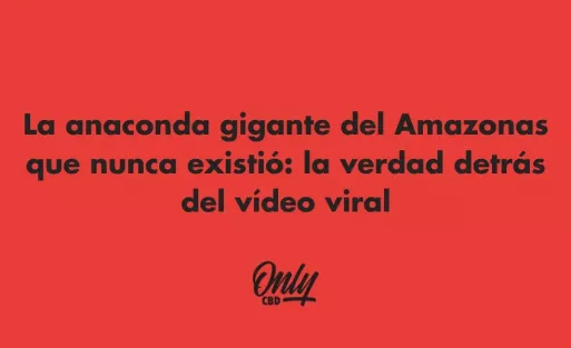 La anaconda gigante del Amazonas que nunca existió: la verdad detrás del vídeo viral