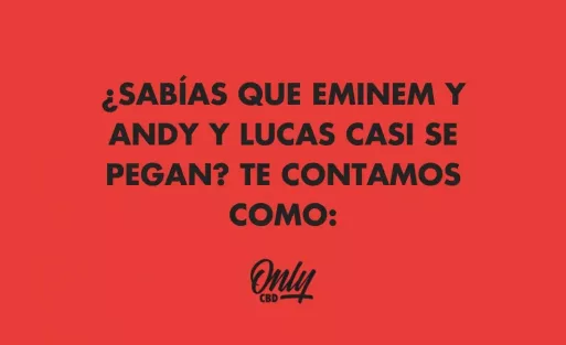 ¿SABÍAS QUE EMINEM Y ANDY Y LUCAS CASI SE PEGAN? TE CONTAMOS COMO: