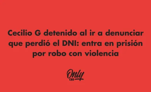Cecilio G detenido al ir a denunciar que perdió el DNI: entra en prisión por robo con violencia