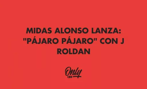 MIDAS ALONSO LANZA: "PÁJARO PÁJARO" CON J ROLDAN