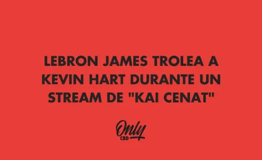 LEBRON JAMES TROLEA EN STREAMING KAI CENAT