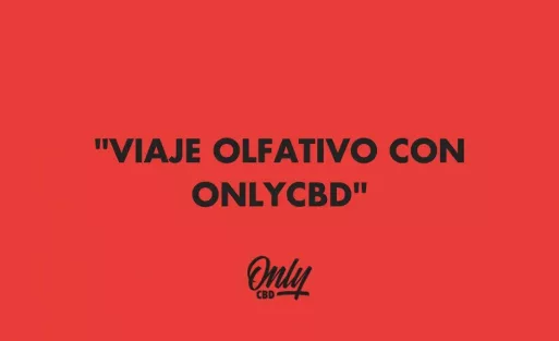 VIAJE OLFATIVO CON ONLYCBD