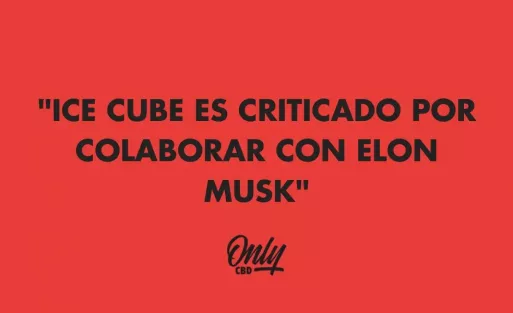 "ICE CUBE ES CRITICADO POR COLABORAR CON ELON MUSK"