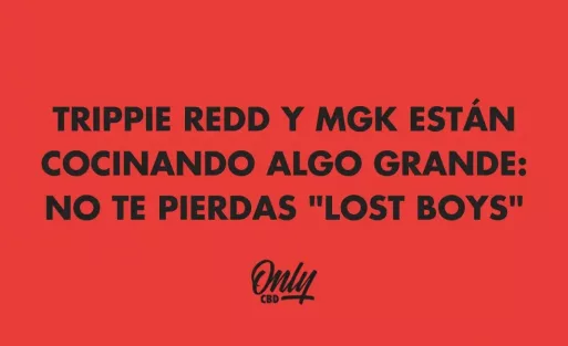 TRIPPIE REDD Y MGK ESTÁN COCINANDO ALGO GRANDE: NO TE PIERDAS "LOST BOYS"