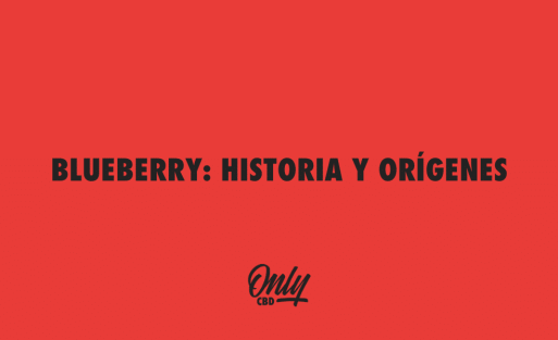BLUEBERRY HISTORIA Y ORÍGENES
