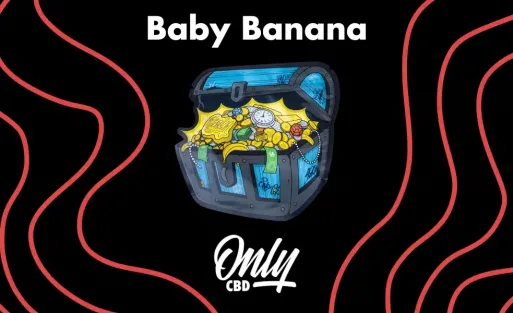Baby Banana Portada Artículo Blog