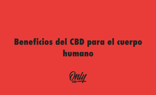 Bienfaits du CBD pour le corps humain