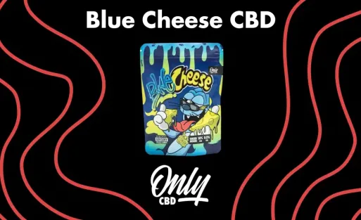 Blue Cheese CBD Portada Artículo Blog