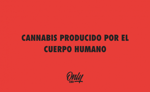 CANNABIS PRODUCIDO POR EL CUERPO HUMANO