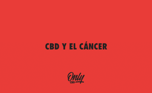 CBD Y EL CÁNCER
