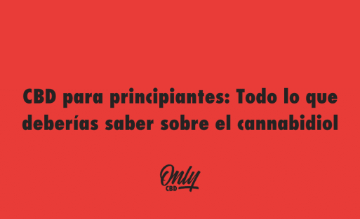 CBD para principiantes Todo lo que deberías saber sobre el cannabidiol