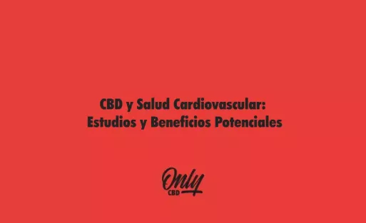 CBD y Salud Cardiovascular