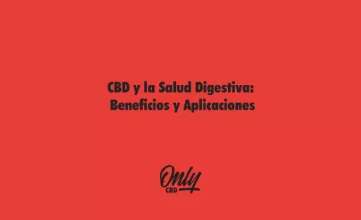 CBD y la Salud Digestiva