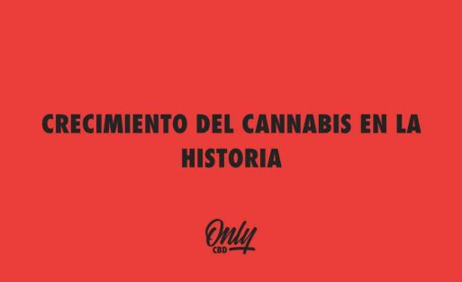 CRECIMIENTO DEL CANNABIS EN LA HISTORIA
