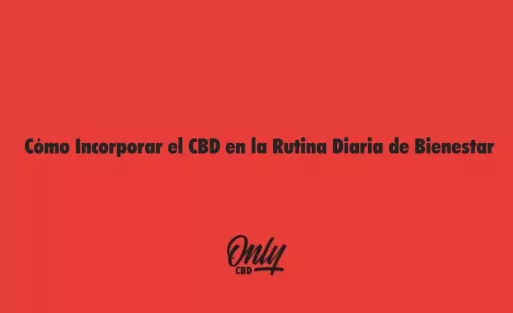 Cómo Incorporar el CBD en la Rutina Diaria de Bienestar
