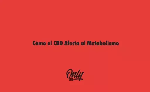 Cómo el CBD Afecta al Metabolismo
