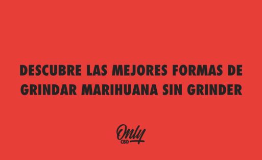 DESCUBRE LAS MEJORES FORMAS DE GRINDAR MARIHUANA SIN GRINDER
