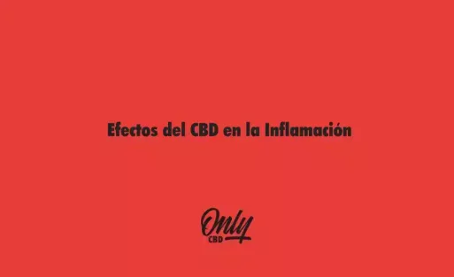 Efectos del CBD en la Inflamación