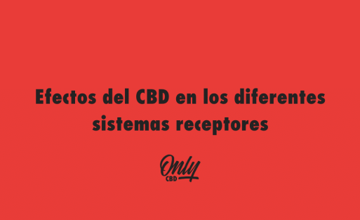 Efectos del CBD en los diferentes sistemas receptores