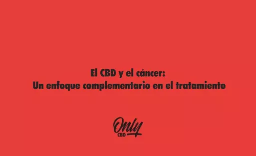 El CBD y el cáncer
