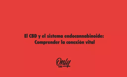 El CBD y el sistema endocannabinoide