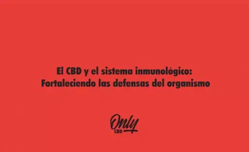 El CBD y el sistema inmunológico