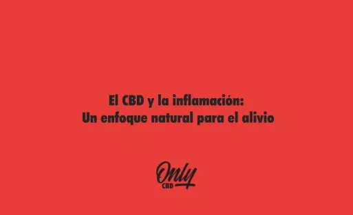 El CBD y la inflamación