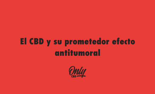 El CBD y su prometedor efecto antitumoral