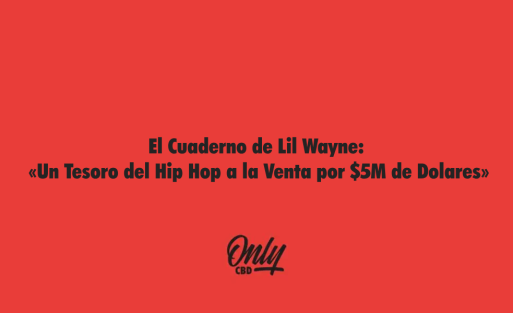 El cuaderno de lil wayne