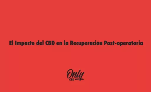 El Impacto del CBD en la Recuperación