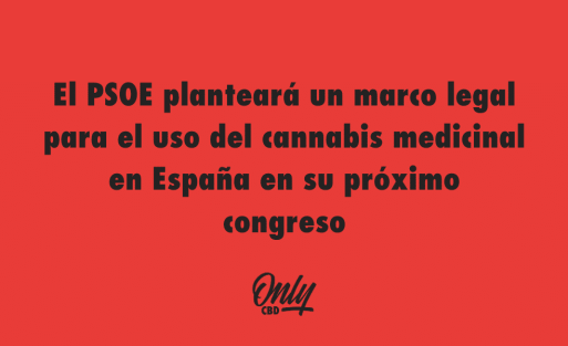 El PSOE planteará un marco legal para el uso del cannabis medicinal en España en su próximo congreso