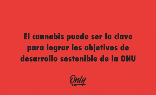 El cannabis puede ser la clave para lograr los objetivos de desarrollo sostenible de la ONU