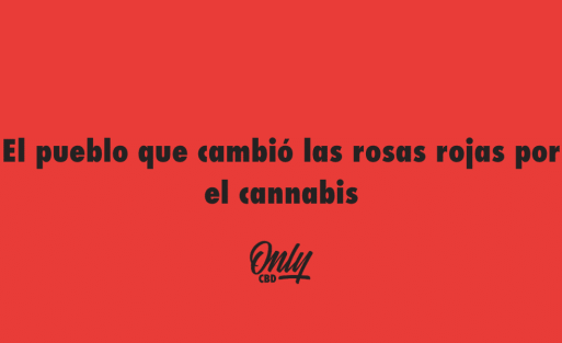 El pueblo que cambió las rosas rojas por el cannabis