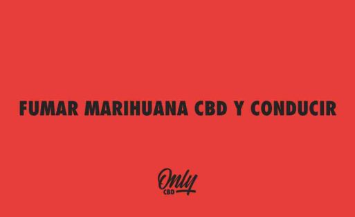 FUMAR MARIHUANA CBD Y CONDUCIR