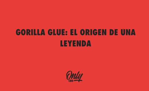 GORILLA GLUE EL ORIGEN DE UNA LEYENDA