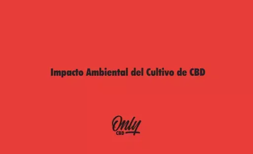 Impacto Ambiental del Cultivo de CBD