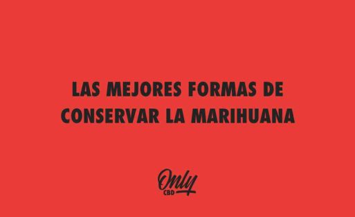 LAS MEJORES FORMAS DE CONSERVAR LA MARIHUANA