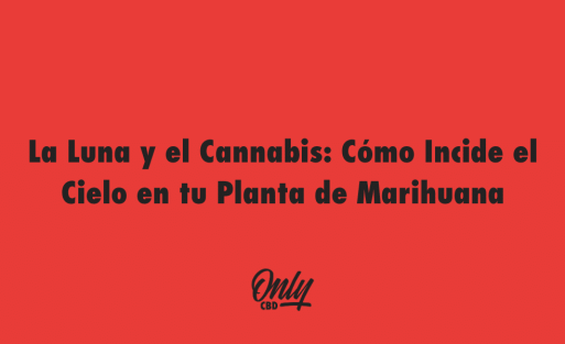 La Luna y el Cannabis Cómo Incide el Cielo en tu Planta de Marihuana