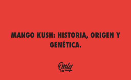 MANGO KUSH HISTORIA, ORIGEN Y GENÉTICA.