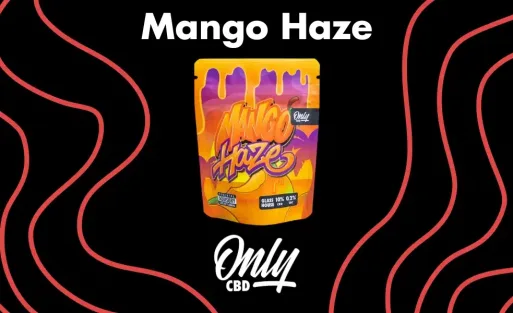 Mango Haze Portada Artículo Blog