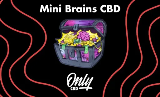Mini Brains Portada Artículo Blog