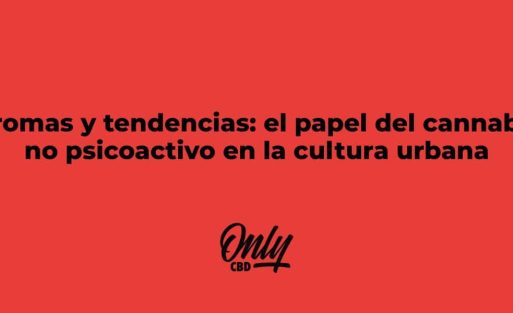 ONLY CBD - Aromas y tendencias. El papel del cannabis no psicoactivo en la cultura urbana